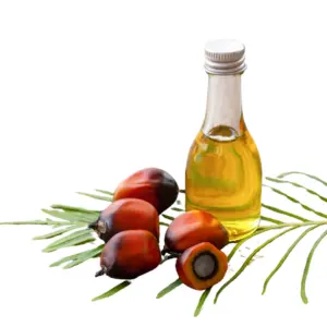 Palm Oil