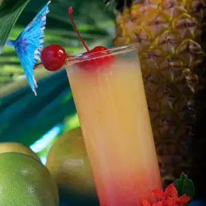 ARIZONA GRAPEADE SOFT DRINKS